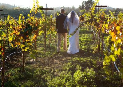 Intimate wedding setting for photos in the vineyard