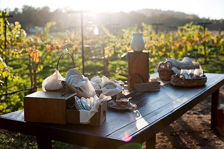 Tableware for a rustic wedding at the Rough & Ready Vineyards. Photo by Patti Mustain, Woman of Faith Photography