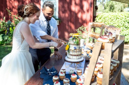 Photo of a bride and groom cutting into their wedding cake by Engstrom Photography