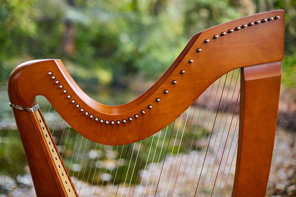 one of our preferred vendors plays the harp