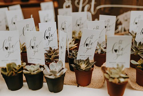 Close up photo of succulents as wedding favors. Photo by Ashton Imagery