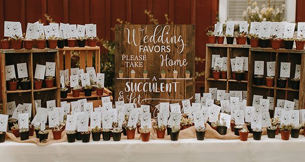 Megan and Logan provided succulents as their wedding favors for guests. Photo by Ashton Imagery