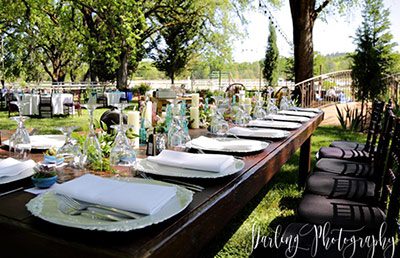 Photo of head table at Rough and Ready Vineyards wedding by Darling Photography
