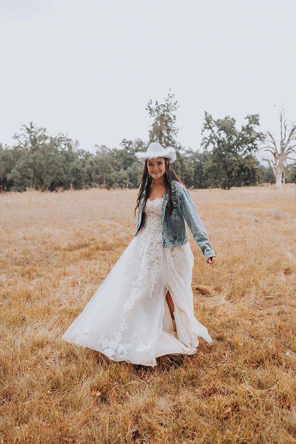 Shelby in field