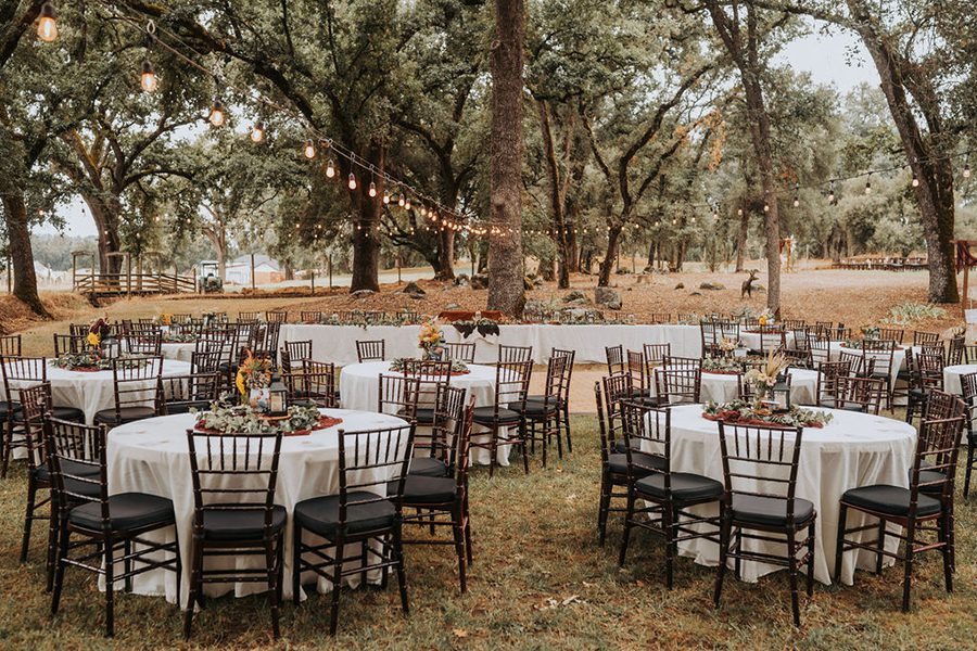 Shelby Ryan reception tables