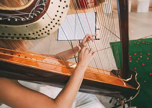 Woman playing the harp