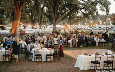 35 Brilliant Tips for Your Outdoor Wedding Reception