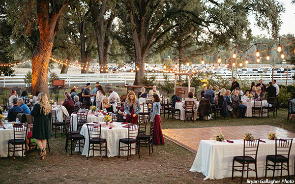 Wedding guests converse at the beginning of Elyssa and Nick's reception at the Rough & Ready Vineyards. Photo by Bryan Gallagher Photo