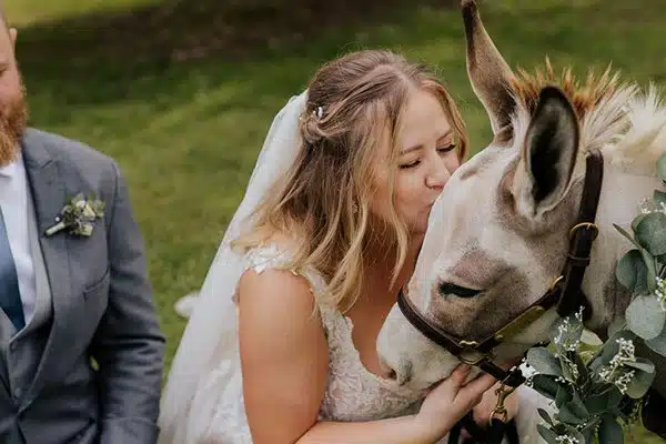 burro-dt Bride Danielle kisses one of the adorable burros from The Drunken Burro Mobile Bar