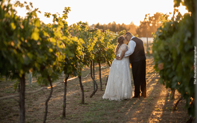 How to Create a Napa Valley-Inspired Wedding on a Budget in Nevada County