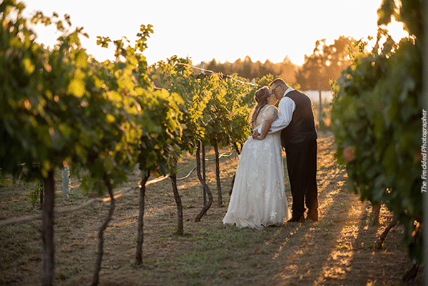 A bride and groom embrace in the vineyards at their Napa Valley themed wedding in Nevada County. Photo by The Freckled Photographer