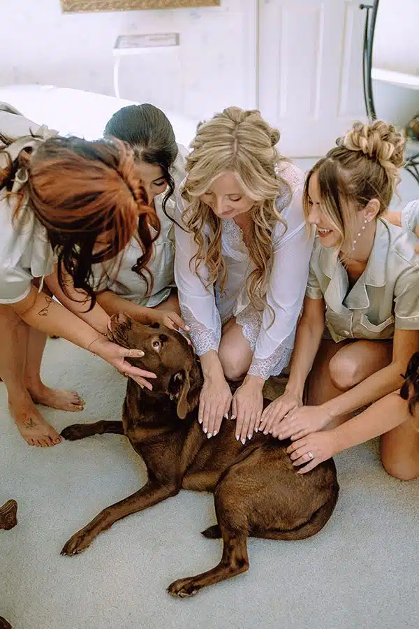 Maddy and her bridesmaids pet her dog. Photo by Dream Capture Studios