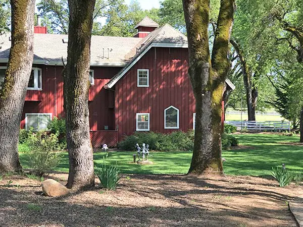 Back of Rough and Ready Vineyards guest house