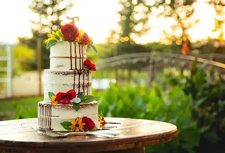 beautiful wedding colors on cake at outdoor venue