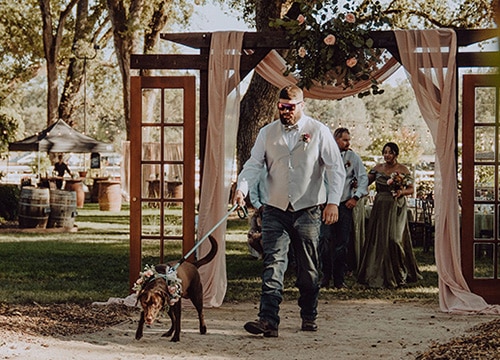 Dog as a flower girl is led down the aisle. Photo by Dream Capture Studios