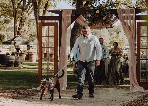 Dog as a flower girl is led down the aisle. Photo by Dream Capture Studios