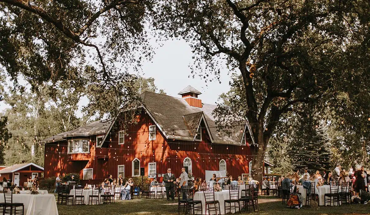 Wedding at Rough and Ready Vineyards