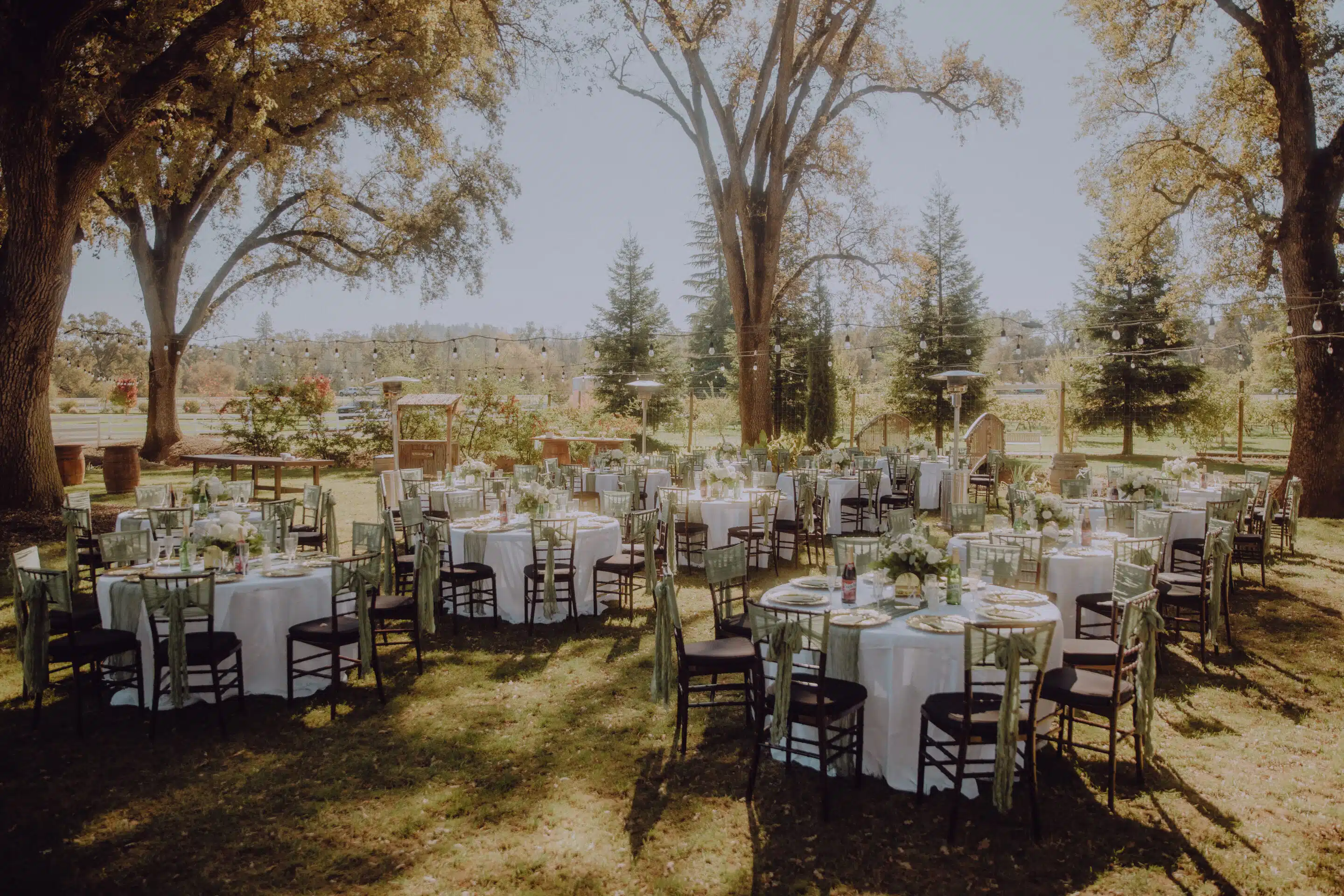 Thalia&DavidReception reception