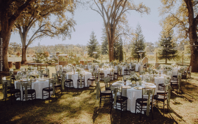 How to Choose a Wedding Theme You’ll Love Forever