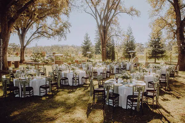 recept-theme Tables set and decorated with a garden wedding theme. Photo by Imagery by Carissa Dugoni