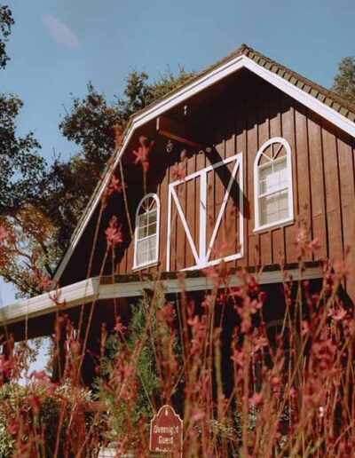 Rough & Ready Vineyards Guest House