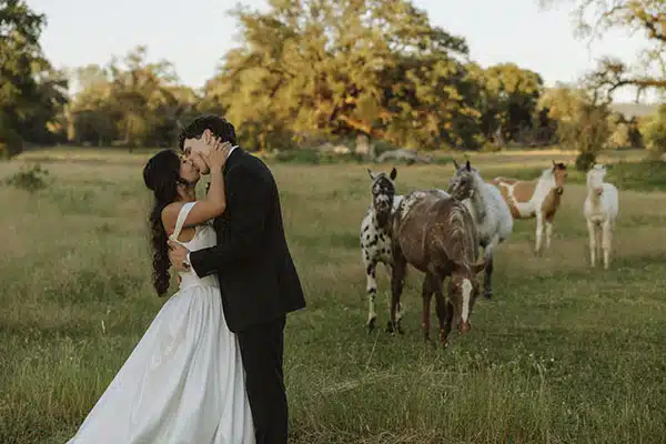 Couple kissing in field at Rough & Ready Vineyards wedding venue Couple kissing in field at Rough & Ready Vineyards wedding venue
